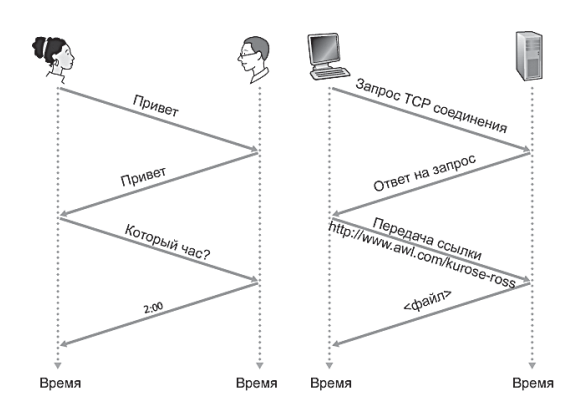 Социальный и сетевой протоколы